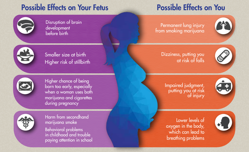 The Effects of Pregnancy on Women's Brains