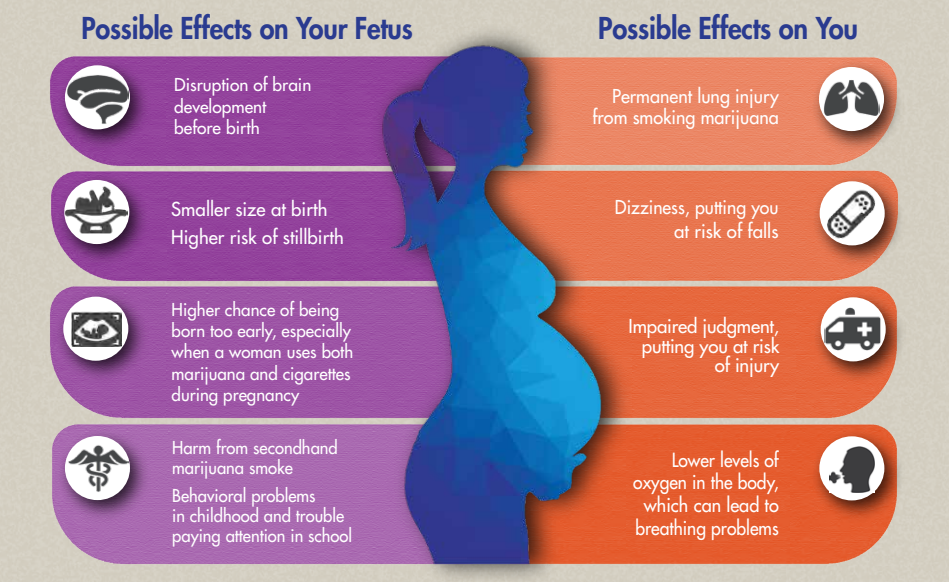 Risks of Cannabis Use During Pregnancy: Findings from a Large